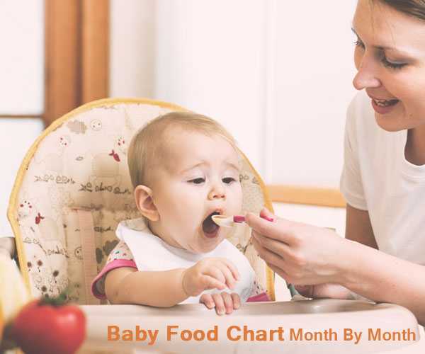 Baby Food Chart Month By Month